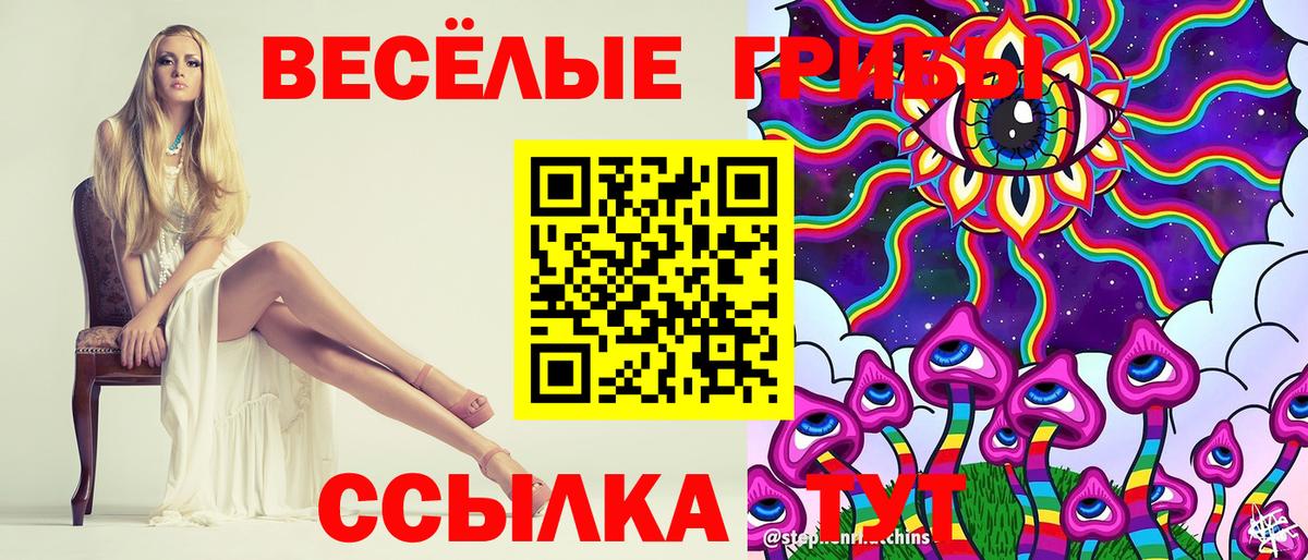 Псилоцибиновые грибы прущие грибы  Вход с VPN  Мыски 