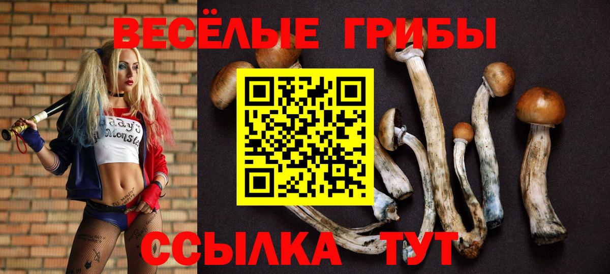 Псилоцибиновые грибы мицелий Мыски