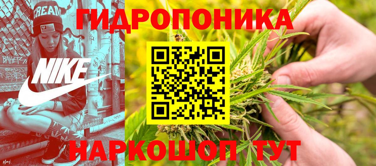 Бошки Шишки сатива  Вход с VPN  Мыски  МАРИХУАНА планчик 